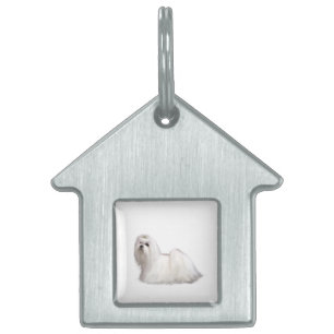 Placa Para Mascotas Perro maltés