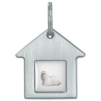 Placa Para Mascotas Perro maltés
