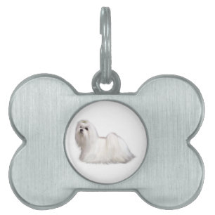 Placa Para Mascotas Perro maltés