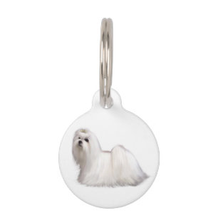 Placa Para Mascotas Perro Maltés