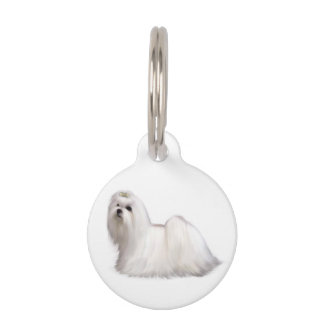 Placa Para Mascotas Perro Maltés