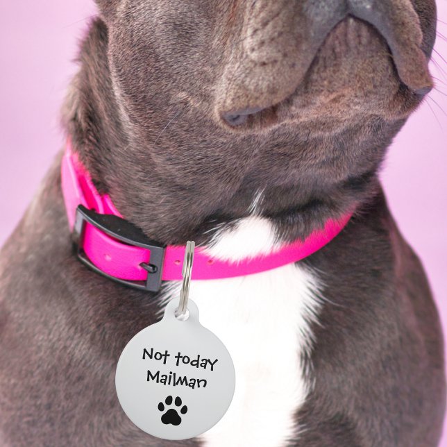 Placa Para Mascotas Perro mascota No se ha perdido el Personalizado de (Subido por el creador)