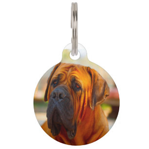 Placa Para Mascotas Perro Mastiff.
