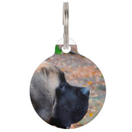Placa Para Mascotas Perro Mastín Inglés.
