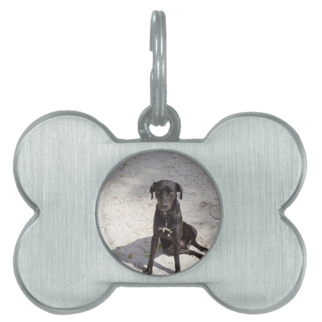 Placa Para Mascotas Perro negro con ojo malvado (Frente)