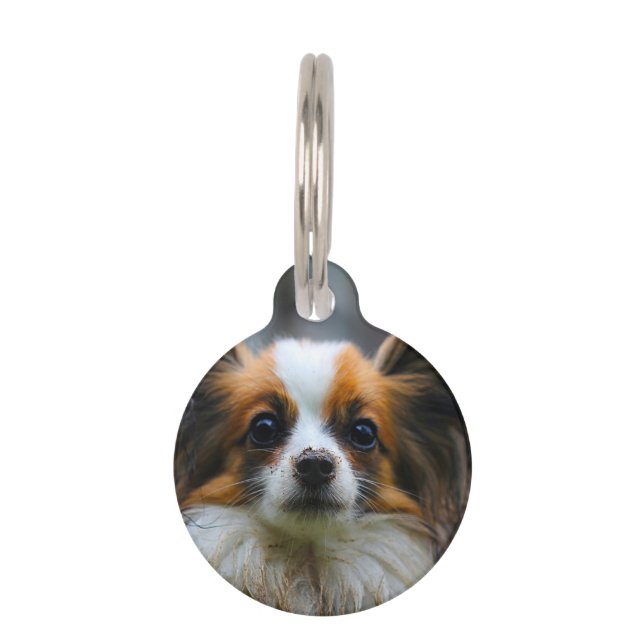Placa Para Mascotas Perro Papillon. (Anverso)