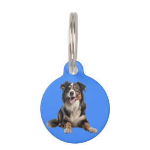 Placa Para Mascotas Perro pastor australiano vibrante