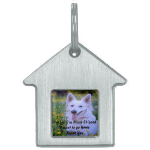 Placa Para Mascotas Perro pastor suizo blanco.