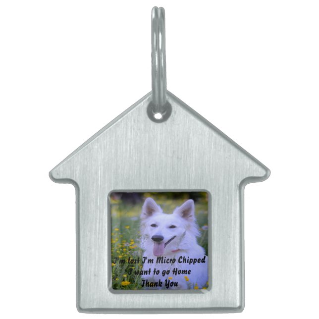 Placa Para Mascotas Perro pastor suizo blanco. (Frente)