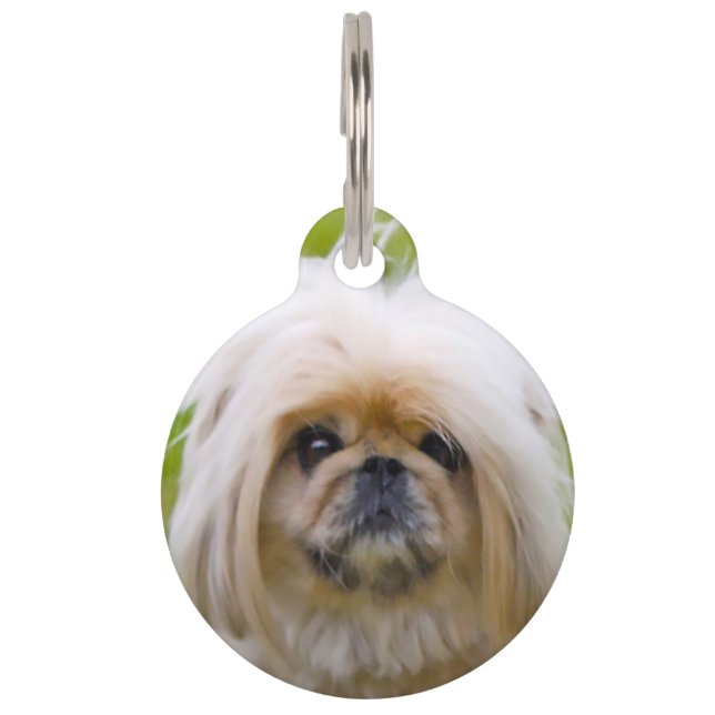 Placa Para Mascotas Perro pekinés. (Anverso)
