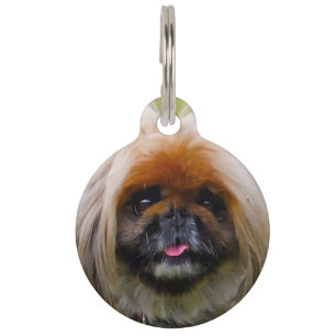 Placa Para Mascotas Perro pequinés.