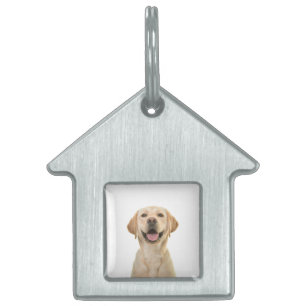 Placa Para Mascotas Perro Personalizado personalizado