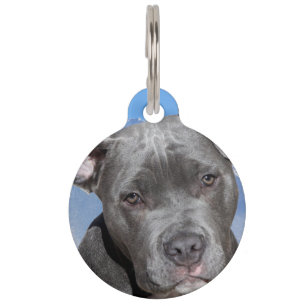 Placa Para Mascotas Perro Pit Bull Terrier.