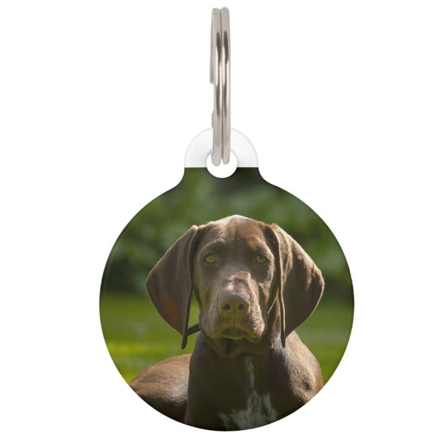 Placa Para Mascotas Perro Pointer Alemán. (Anverso)