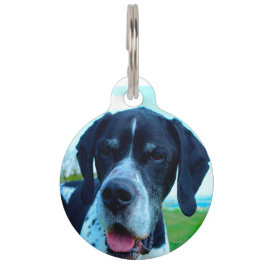 Placa Para Mascotas Perro Pointer Inglés.