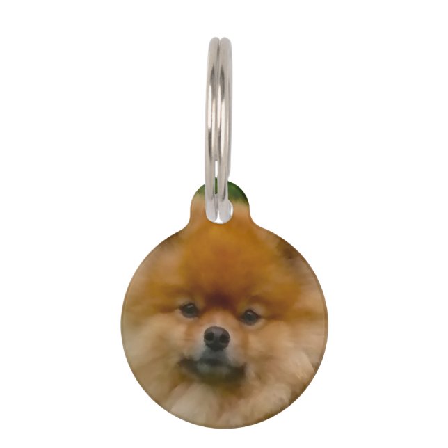 Placa Para Mascotas Perro Pomerania Spitz Enano. (Anverso)