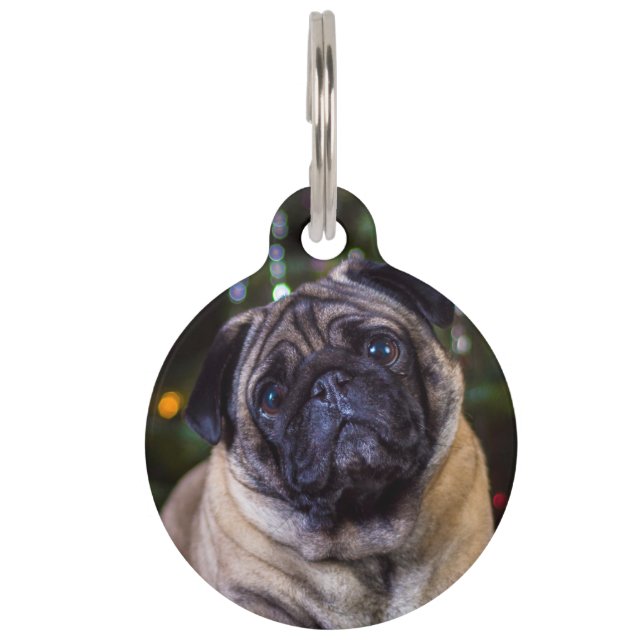 Placa Para Mascotas Perro Pug. (Anverso)