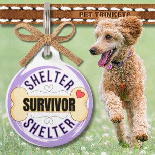 Placa Para Mascotas Perro Púrpura Superviviente del Refugio de Hueso