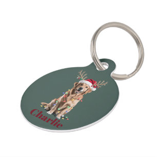 Placa Para Mascotas Perro Retriever Dorado Navidad Nombre Personalizad