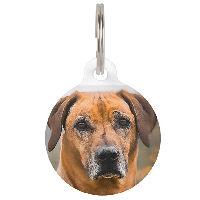 Placa Para Mascotas Perro Ridgeback Rhodesiano. (Anverso)