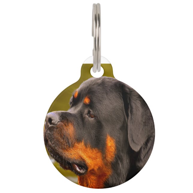 Placa Para Mascotas Perro Rottweiler (Anverso)