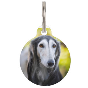 Placa Para Mascotas Perro Saluki