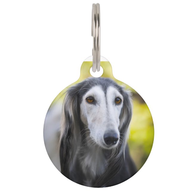 Placa Para Mascotas Perro Saluki (Anverso)