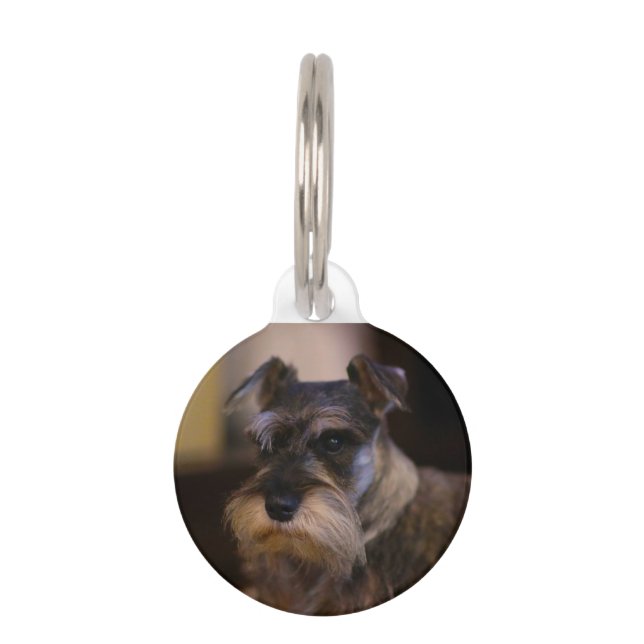 Placa Para Mascotas Perro Schnauzer (Anverso)