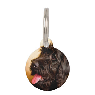 Placa Para Mascotas Perro Schnauzer