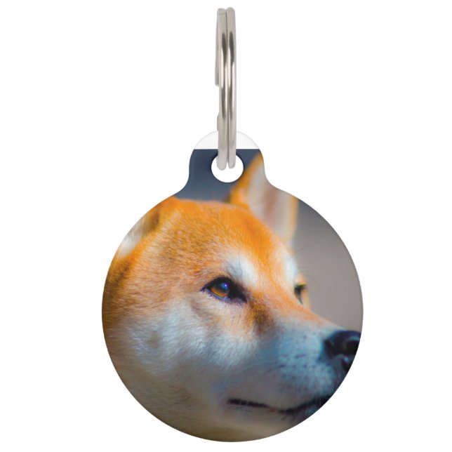 Placa Para Mascotas Perro Shiba Inu. (Anverso)