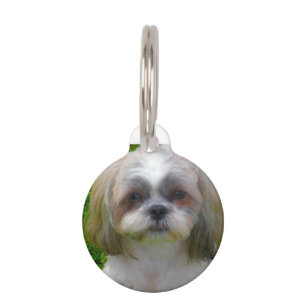 Placa Para Mascotas Perro Shih Tzu.