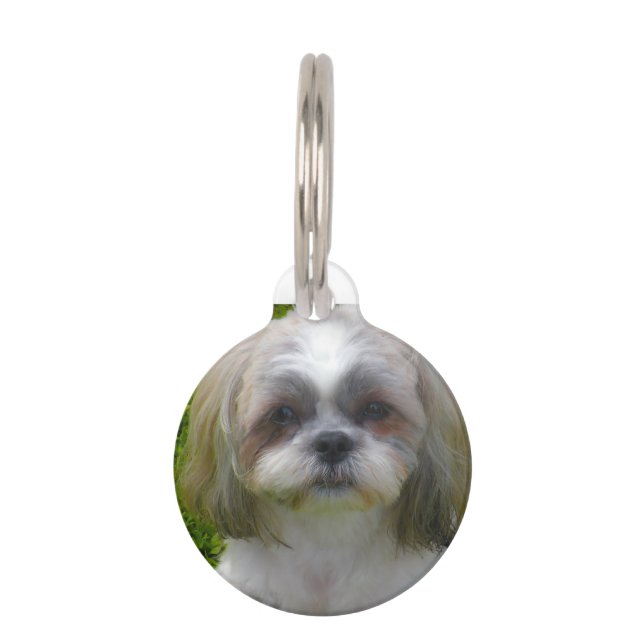 Placa Para Mascotas Perro Shih Tzu. (Anverso)