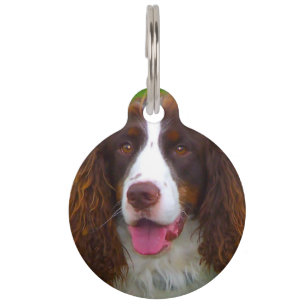 Placa Para Mascotas Perro Springer Spaniel.