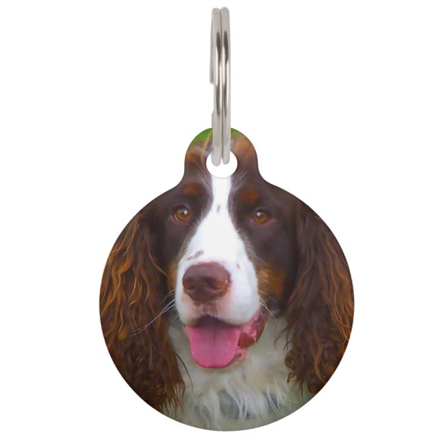 Placa Para Mascotas Perro Springer Spaniel. (Anverso)