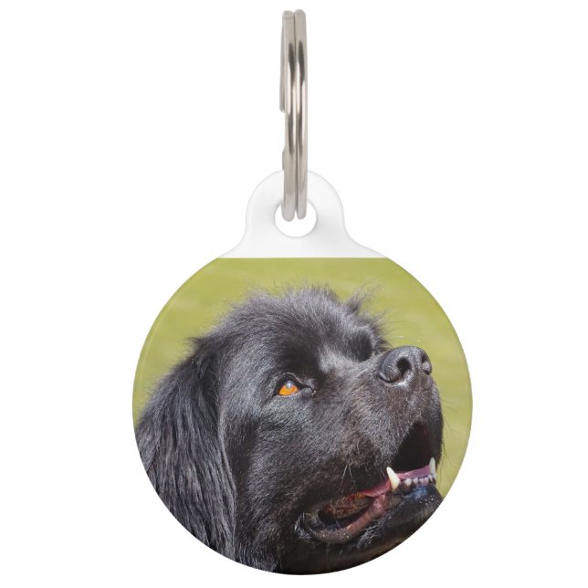 Placa Para Mascotas Perro Terranova. (Anverso)