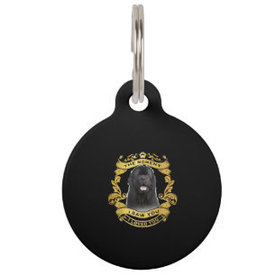 Placa Para Mascotas Perro Terranova   El Momento en que te Vi Diseño