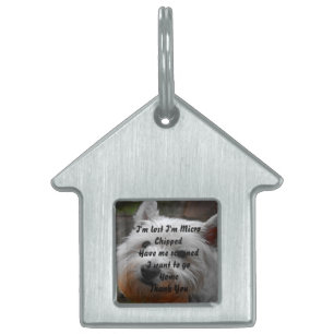 Placa Para Mascotas Perro Westie.