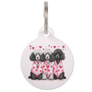 Placa Para Mascotas Perros Caniche Estándar Día de San Valentín