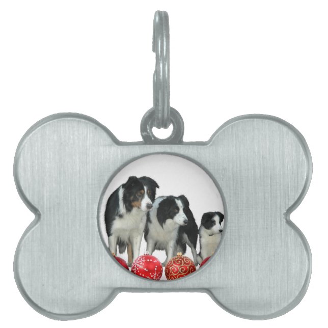 Placa Para Mascotas Perros collie de frontera con adornos navideños ro (Frente)