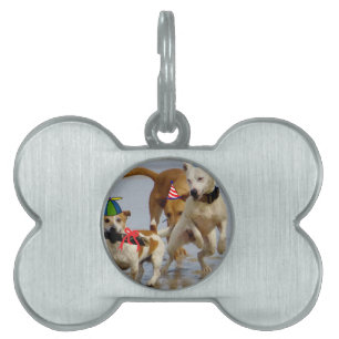 Placa Para Mascotas perros de cumpleaños felices