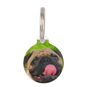 Placa Para Mascotas Perros de Pug.