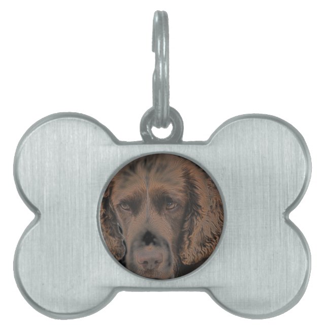 Placa Para Mascotas Perros de Springer ingleses (Frente)