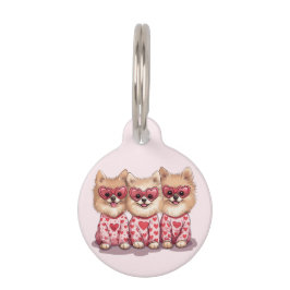 Placa Para Mascotas Perros día de San Valentín Pomeranian