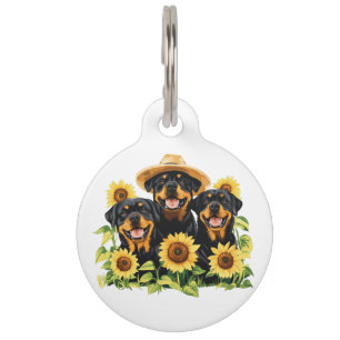 Placa Para Mascotas Perros Rottweiler Rodeados De Sunflowers