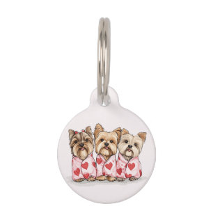 Placa Para Mascotas Perros Terrier de día de San Valentín Yorkshire
