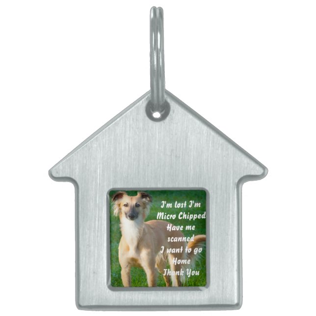 Placa Para Mascotas Perros Whippet de pelo largo (Frente)