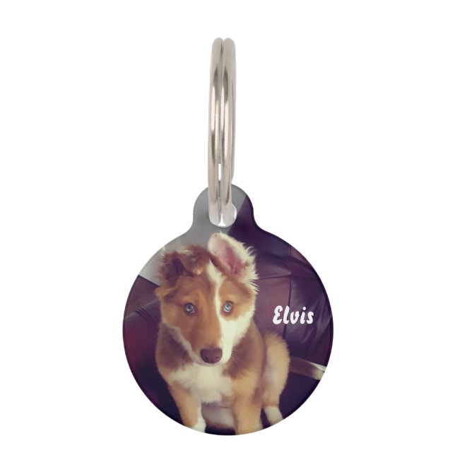 Placa Para Mascotas Personalice su (Anverso)