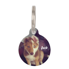 Placa Para Mascotas Personalice su