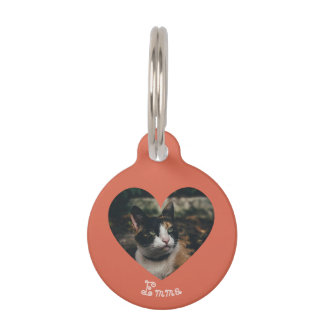 Placa Para Mascotas Personalizable Ornament