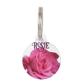 Placa Para Mascotas Personalizable rosa rosa rosa floral Rosie gato no